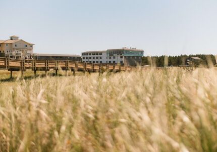 Charming Adrift Hotel with scenic views, boardwalk, and natural surroundings; perfect for a tranquil getaway in Long Beach WA